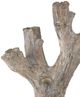 Currey & Company Rafaela Dark Brown Small Flameless LED Candelabra-2