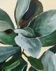 Stylecraft Plant Study I Green Wall Art-1