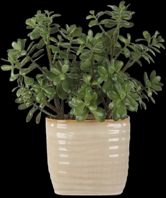 Uttermost® Crassula Jade Green Accent Plant-2