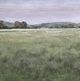 Uttermost® Paul Duncan 4-Piece Quiet Meadows Framed Prints Set-5