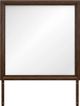 Signature Design by Ashley® Danabrin Brown Bedroom Mirror-0