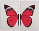 Bassett Mirror Butterfly 2-Piece Wall Art Set-0