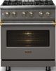 Viking® 5 Series 30" Damascus Gray Pro Style Dual Fuel (LP) Range with Brushed Brass Trim-2