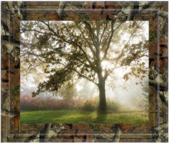 Classy Living Lee Frost Morning Calm Wall Art-1