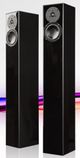 Totem Acoustics High-Fidelity Floor Standing Speaker-4