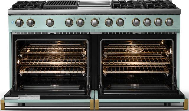 Viking® 5 Series 60" Splash Pro Style Dual Fuel (LP) Range with Brushed Brass Trim-1