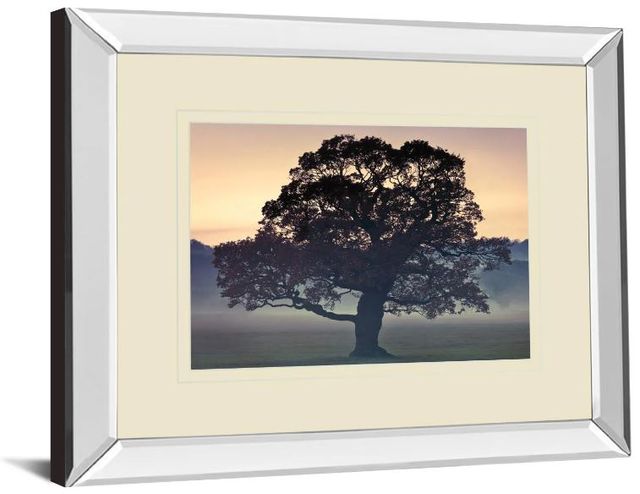 Classy Art Evening Wisdom by Assaf Frank Mirror Framed Wall Art-1