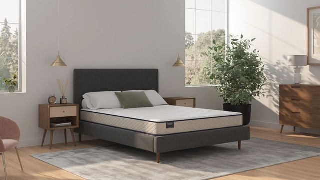 Sherwood® Bedding Essentials® Charming 6.5" Foam Firm Tight Top Twin Mattress-4