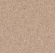 Shaw® Floors Essay II 12' Sheer Ecru Carpet-0