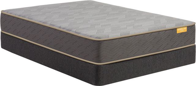 Simmons® Deep Sleep™ Hybrid Plush Tight Top Twin XL Mattress-0