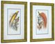 A & B Home 2-Piece Brown/Red/White Birds Wall Art Set-0