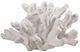 A & B Home Inna White Faux Elkhorn Coral Decorative Object-0
