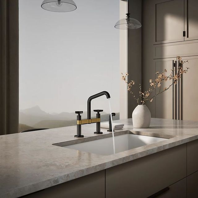 KOHLER® Billet® Matte Black with Brushed Moderne Brass 2-Hole Bridge Kitchen Sink Faucet with Side Sprayer-3