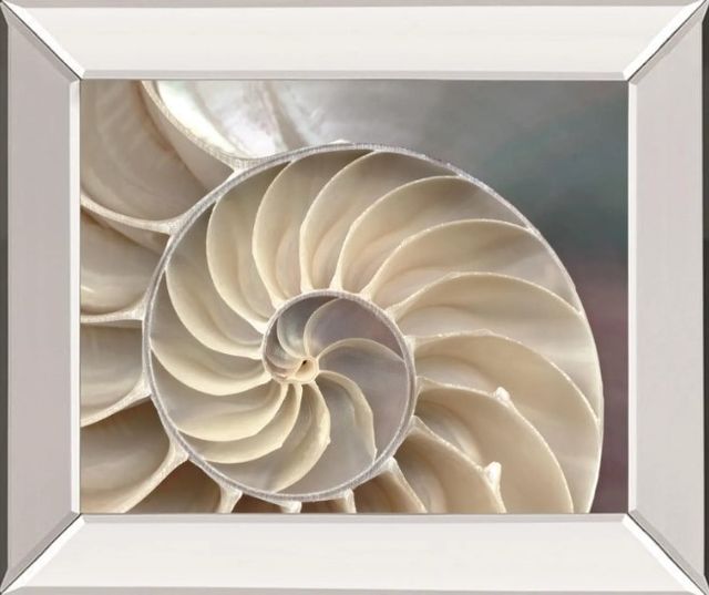 Classy Art Nautilus by Levine, A. Wall Art-0