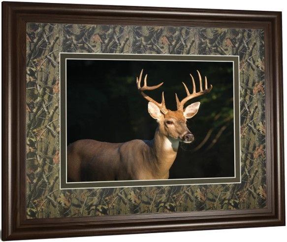 Classy Living Tony Campbell Double Matted White Tail Buck Wall Art-3