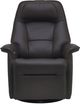 Fjords® Relax Stockholm Safari Small Dual Motion Swivel Recliner-1