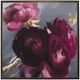 Uttermost® Plum Ranculus Framed Print Art -0