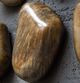 Uttermost® Pebbles 9-Piece Walnut Brown Wall Decor Set-3