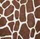 Dalyn™ Rug Company Akina Chocolate 8'x10' Area Rug-4