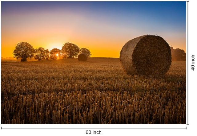 Classy Living Hay Bale Wall Art-2