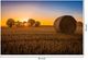 Classy Living Hay Bale Wall Art-2