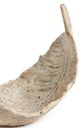 Giftcraft Beige Small Leaf Décor-1