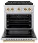 ZLINE Autograph Edition Paramount 30" 4.2 Cu. Ft. Satin Stainless Steel Gas Range with 4 Burner DuoPro™ Cooktop and Convection Gas Oven with Polished Gold Accents-3