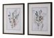 Uttermost® Aisa Jenson 2-Piece Delicate Flowers Framed Print Set-3