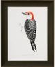 Stylecraft Black/Orange/White Framed Print-0