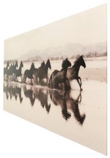 YHD Running Wild Print-3