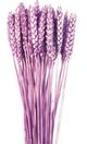 A & B Home Purple Triticun -1