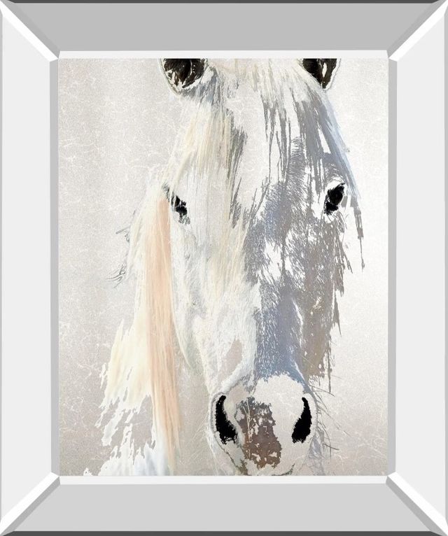 Classy Art Sage by Marvin Pelkey Mirror Framed Wall Art-0