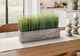 Monarch Specialties Inc. 12" Indoor Grass Artificial Plant in 5" Wood Box-1