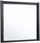 Coaster® Leandro Burnished Black Dresser Mirror-0