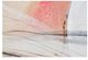 Renwil® Curiosity 2-Piece Wall Art Set-3