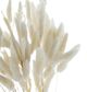A & B Home White Dried Natural Bunny Tail Bundle-1