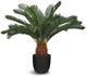 Le Present Cycas Green Faux Botanical-0