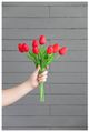 A & B Home Red Faux Tulip 9-Stem Bundle-3