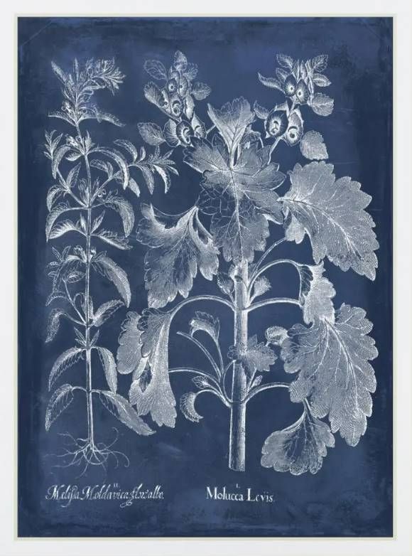 Classy Art Besler Leaves in Indigo I by Vision Studio Mirrored Frame Wall Art-1