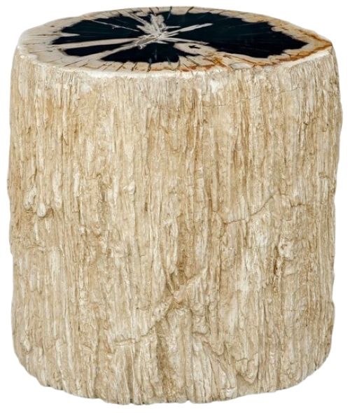 Uttermost® Arco Petrified Wood Accent Table with Warm White Base-0