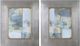 Uttermost® Jennifer Goldberger 2-Piece Gilded Whimsy Framed Prints Set-0