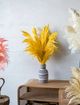 A & B Home Orange Dried Natural Pampas Grass Bundle-3