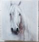 Giftcraft White Horse Wall Print-1