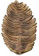 A & B Home Antique Gold Distinctive Tray-3