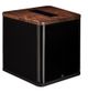 Martin Logan Subwoofer-1