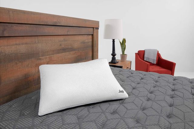 Sealy® Performance Dual-Comfort Standard Pillow-4