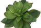 Monarch Specialties Inc. 2-Piece Grey 6" Tall Artificial Potted Succulent-4
