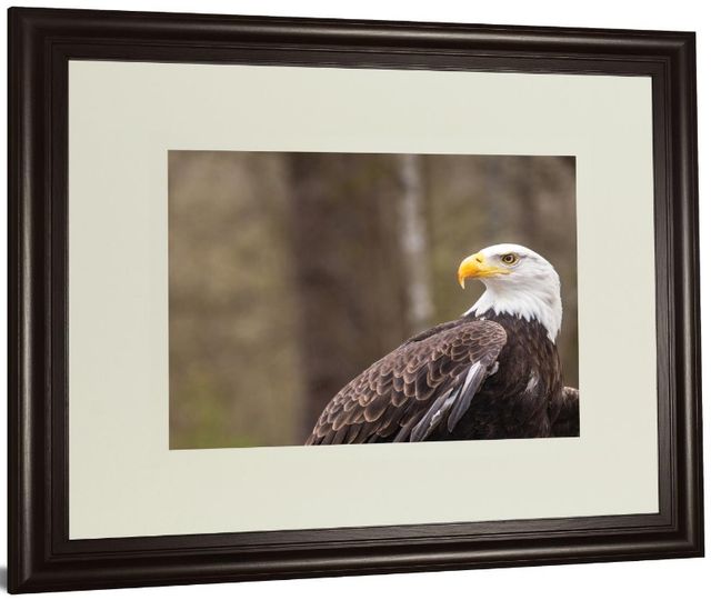 Classy Living Garytog Majestic Eagle 40"W Wall Art-3