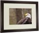 Classy Living Garytog Majestic Eagle 40"W Wall Art-3