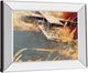 Classy Living Aliaga, C. Wheels And Wings Wall Art-3